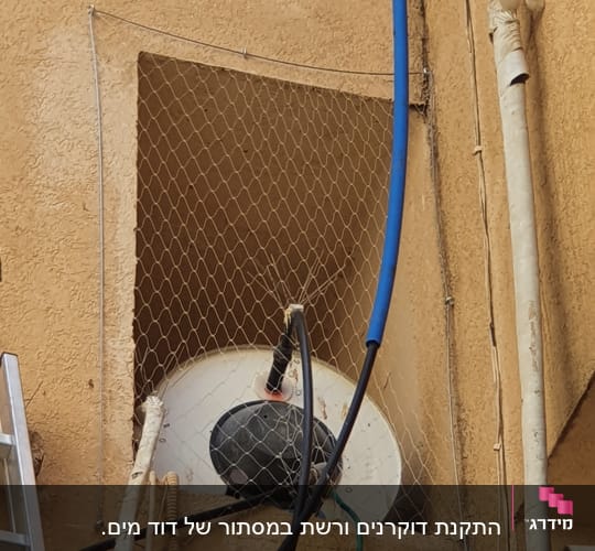 רשת למניעת כניסת יונים על צלחת לוויין